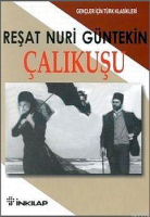 Gençler için Çalıkuşu /Özet Metin